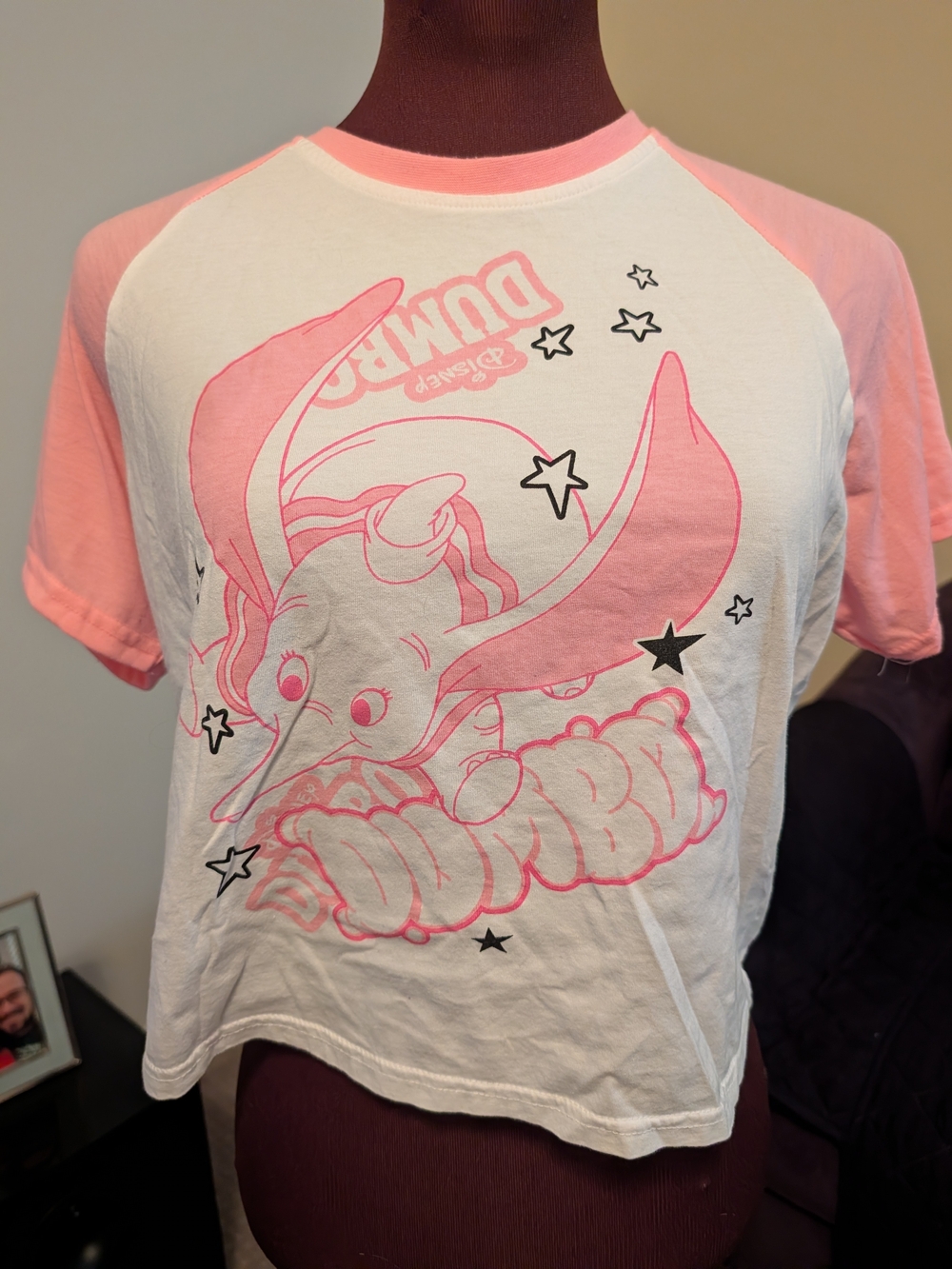 Cakeworthy x Disney Dumbo Pink & White Raglan Crop Tee
